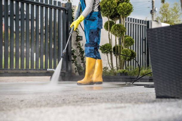 Best Roof Pressure Washing  in Brandermill, VA